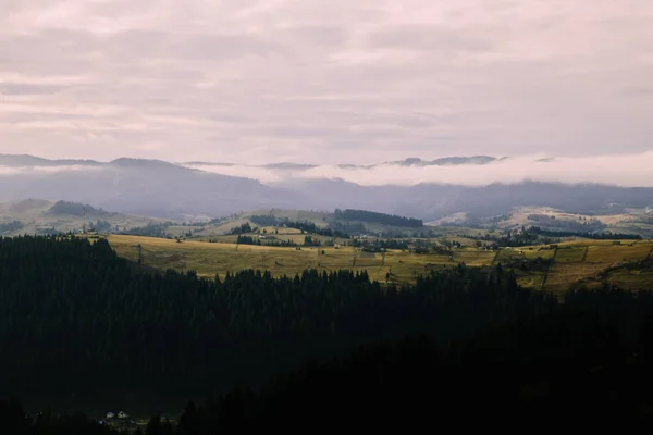 Přírodní Krajina Blízkosti Vesnice Putyla Ukrajina — Stock fotografie