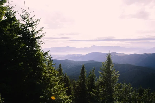 Vue Sur Les Montagnes Près Bukovel Ukraine — Photo