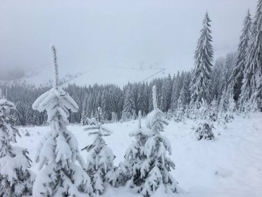 Sisli Karpatlar 'da kış manzarası