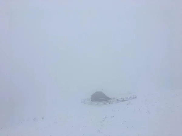 霧深いカルパチアの冬の山の風景 — ストック写真