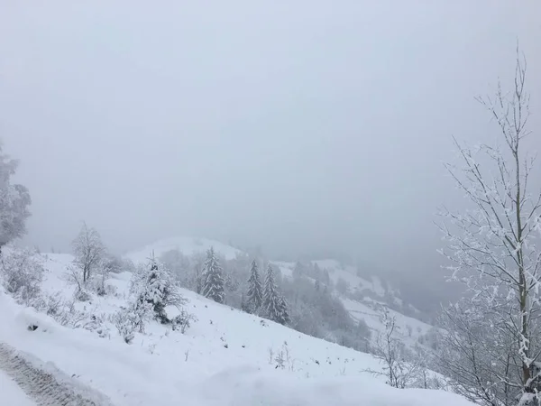 Зимний Горный Пейзаж Туманных Карпатах — стоковое фото