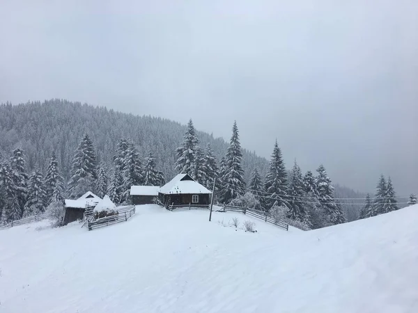 霧深いカルパチアの冬の山の風景 — ストック写真