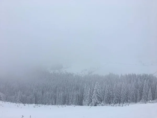 Winter Mountain Landscape Foggy Carpathians — Stockfoto