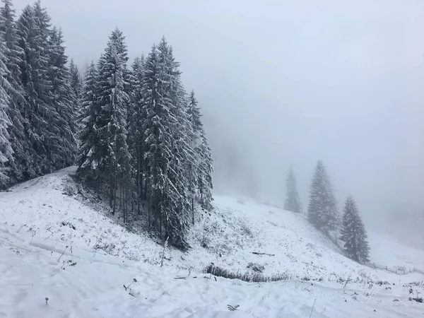 霧深いカルパチアの冬の山の風景 — ストック写真