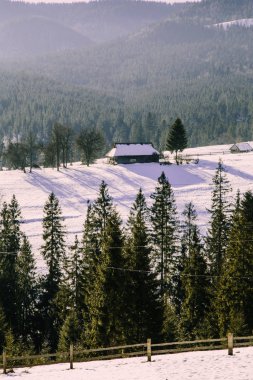 Kış mevsiminde Karpat dağlarının manzarası 