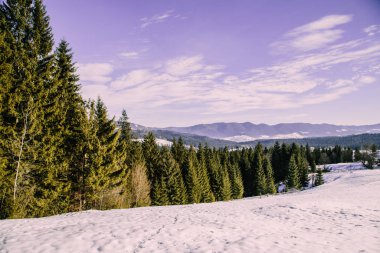 Kış mevsiminde Karpat dağlarının manzarası 