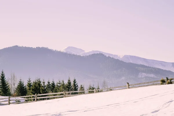 Vista Panoramica Sulle Montagne Dei Carpazi Nella Stagione Invernale — Foto Stock