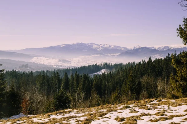 Vista Panorámica Las Montañas Los Cárpatos Temporada Invierno — Foto de Stock