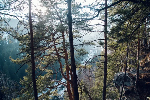 Вид Залізничний Міст Біля Яремче Україна — стокове фото