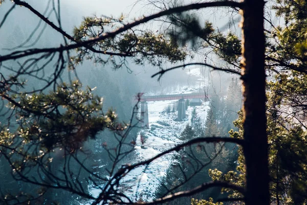 Вид Залізничний Міст Біля Яремче Україна — стокове фото