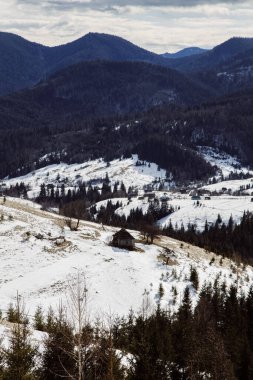 Kış mevsiminde Dzembronya manzarası, Ukrayna, seyahat kavramı 