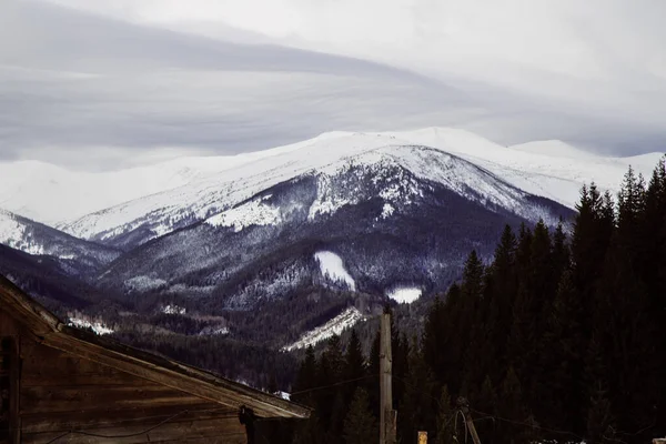 Vista Dzembronya Temporada Invierno Ucrania Concepto Viaje — Foto de Stock