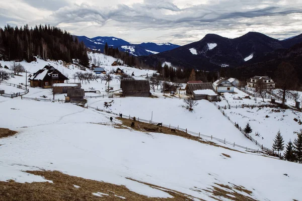 Vista Dzembronya Temporada Invierno Ucrania Concepto Viaje — Foto de Stock