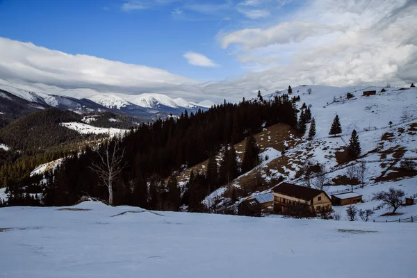 Vista Dzembronya Temporada Invierno Ucrania Concepto Viaje — Foto de Stock