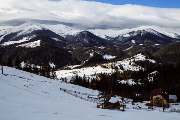 Vista Dzembronya Temporada Invierno Ucrania Concepto Viaje — Foto de Stock