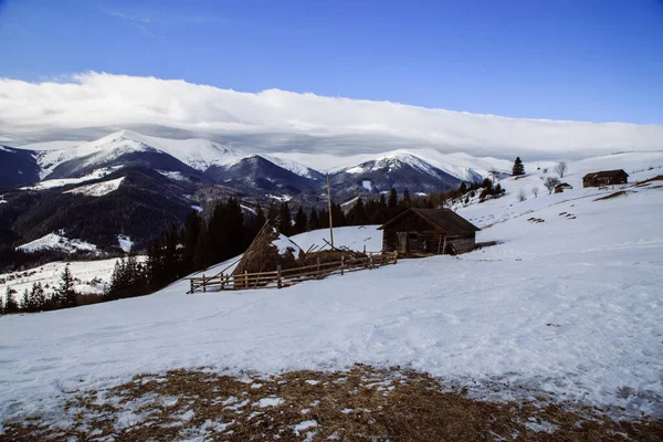 Vista Dzembronya Temporada Invierno Ucrania Concepto Viaje — Foto de Stock