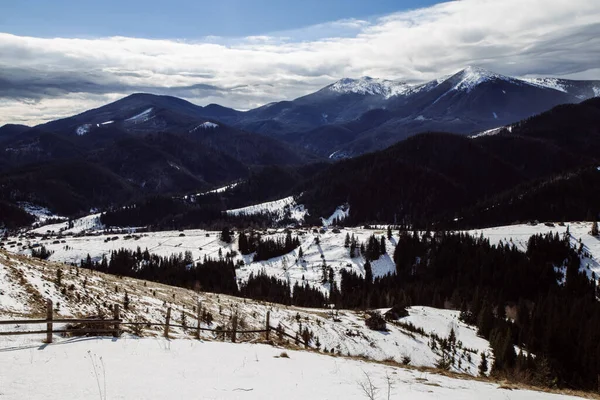 Vista Dzembronya Temporada Invierno Ucrania Concepto Viaje — Foto de Stock