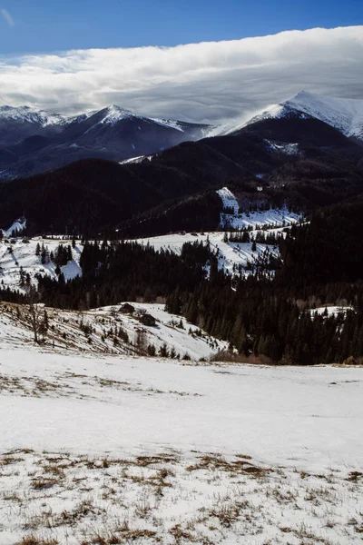 Vista Dzembronya Temporada Invierno Ucrania Concepto Viaje — Foto de Stock