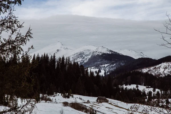 Vista Dzembronya Temporada Invierno Ucrania Concepto Viaje — Foto de Stock