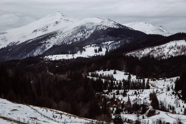 Kış Mevsiminde Dzembronya Manzarası Ukrayna Seyahat Kavramı — Stok fotoğraf