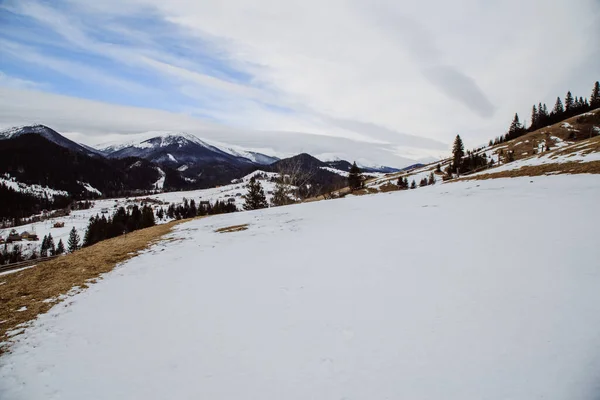 Vista Dzembronya Temporada Invierno Ucrania Concepto Viaje — Foto de Stock