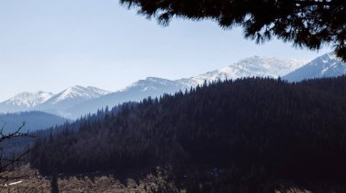 Bystrets köyü, Ivano-Frankivsk, Ukrayna 