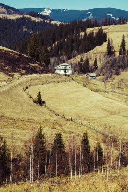Bystrets köyü, Ivano-Frankivsk, Ukrayna 