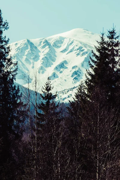 Blick Auf Bystrets Dorf Iwano Frankiwsk Ukraine — Stockfoto