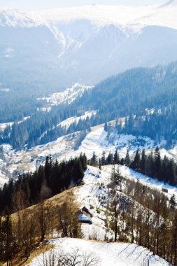 Ukrayna 'da kış mevsiminde dağların ve Bystrets köyünün manzarası 