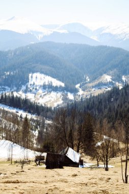 Ukrayna 'da kış mevsiminde dağların ve Bystrets köyünün manzarası 
