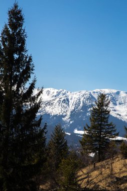 Karla kaplı dağların manzarası, Bystrets, Ukrayna