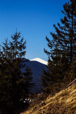 Karla kaplı dağların manzarası, Bystrets, Ukrayna
