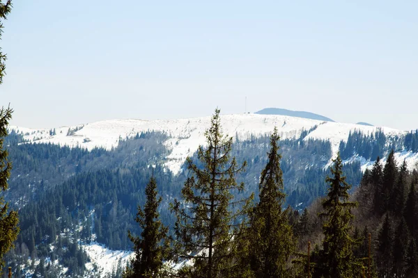 Vista Panorámica Las Montañas Cubiertas Nieve Bystrets Ucrania — Foto de Stock
