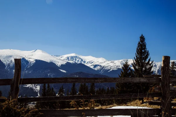 Vista Panorámica Las Montañas Bystrets Pueblo Temporada Invierno Ucrania — Foto de Stock