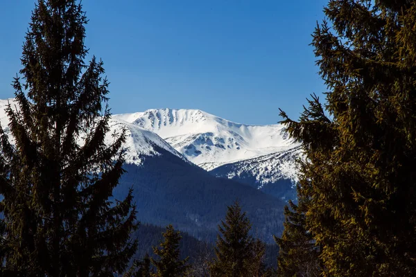 Vista Panorámica Las Montañas Cubiertas Nieve Bystrets Ucrania —  Fotos de Stock