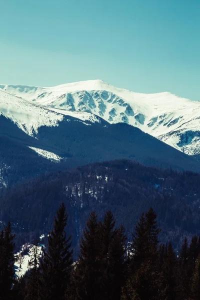 雪に覆われた山々の風光明媚な景色 バイストリート ウクライナ — ストック写真