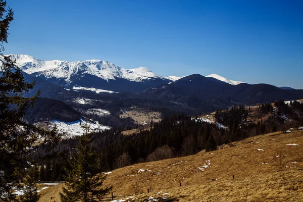 Vista Panorámica Las Montañas Cubiertas Nieve Bystrets Ucrania — Foto de Stock