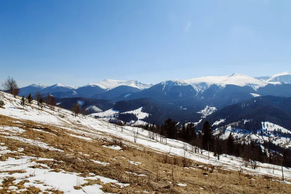 Vista Panorámica Las Montañas Bystrets Pueblo Temporada Invierno Ucrania — Foto de Stock