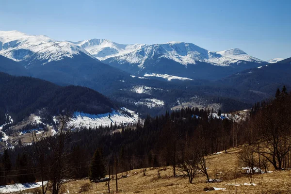 Malerischer Blick Auf Schneebedeckte Berge Bystrets Ukraine — Stockfoto