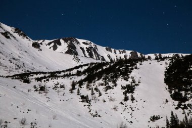 Kış mevsiminde Shpytsi dağlarına yürüyüş, seyahat konsepti, Ukrayna