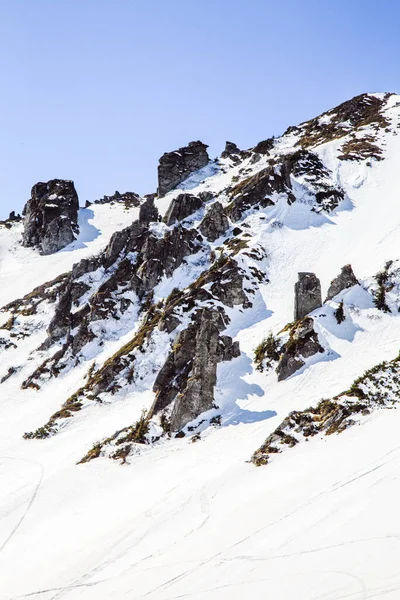 冬の季節に山Shpytsiへのハイキング 旅行のコンセプト ウクライナ — ストック写真