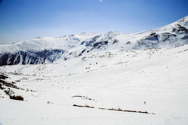 Kış Mevsiminde Shpytsi Dağlarına Yürüyüş Seyahat Konsepti Ukrayna — Stok fotoğraf