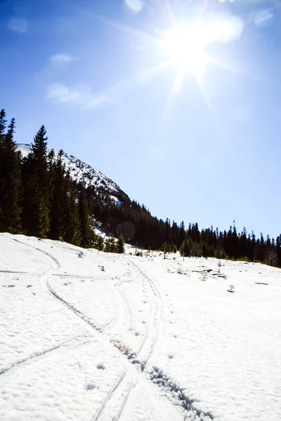 Escursioni Montagna Shpytsi Durante Stagione Invernale Concetto Viaggio Ucraina — Foto Stock