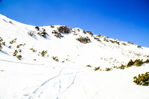 Senderismo Las Montañas Shpytsi Temporada Invierno Concepto Viaje Ucrania —  Fotos de Stock