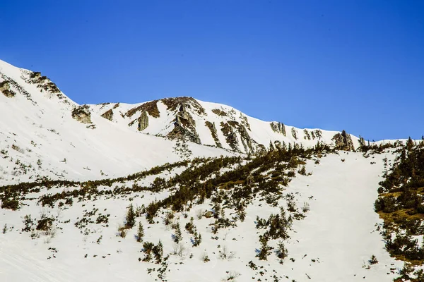 冬の季節に山Shpytsiへのハイキング 旅行のコンセプト ウクライナ — ストック写真