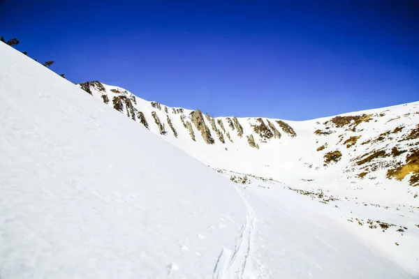 冬の季節に山Shpytsiへのハイキング 旅行のコンセプト ウクライナ — ストック写真