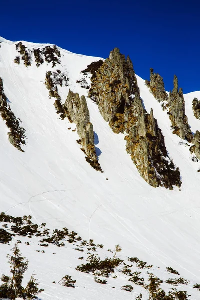 Escursioni Montagna Shpytsi Durante Stagione Invernale Concetto Viaggio Ucraina — Foto Stock