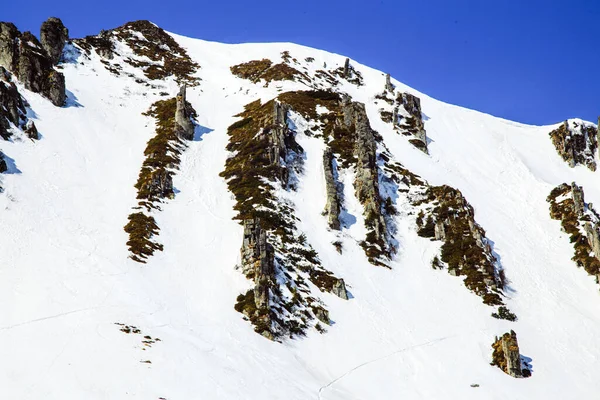 冬の季節に山Shpytsiへのハイキング 旅行のコンセプト ウクライナ — ストック写真