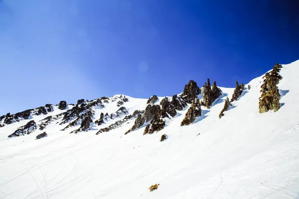 冬の季節に山Shpytsiへのハイキング 旅行のコンセプト ウクライナ — ストック写真