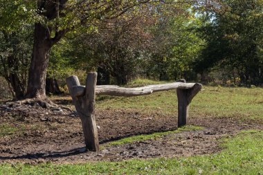 Ormanın sonbahar ormanlarındaki terk edilmiş kordonu..